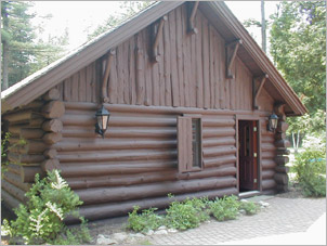 log home with dark stain